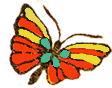 butterflywallpapersmall New Butterfly