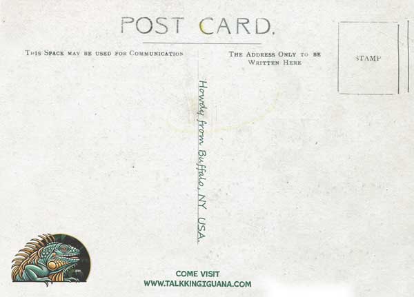 Back of Talking Iguana Postcard